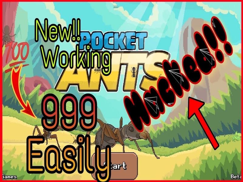 Phiên Bản Hack Pocket Ants