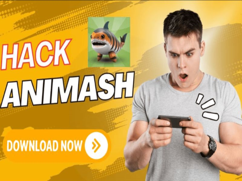 Hack Animash