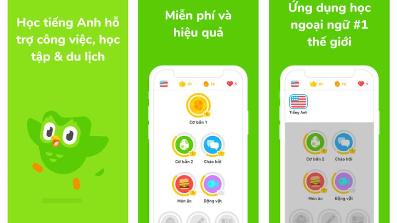 Phương Pháp Học Ngôn Ngữ Độc Đáo Trong Hack Duolingo 